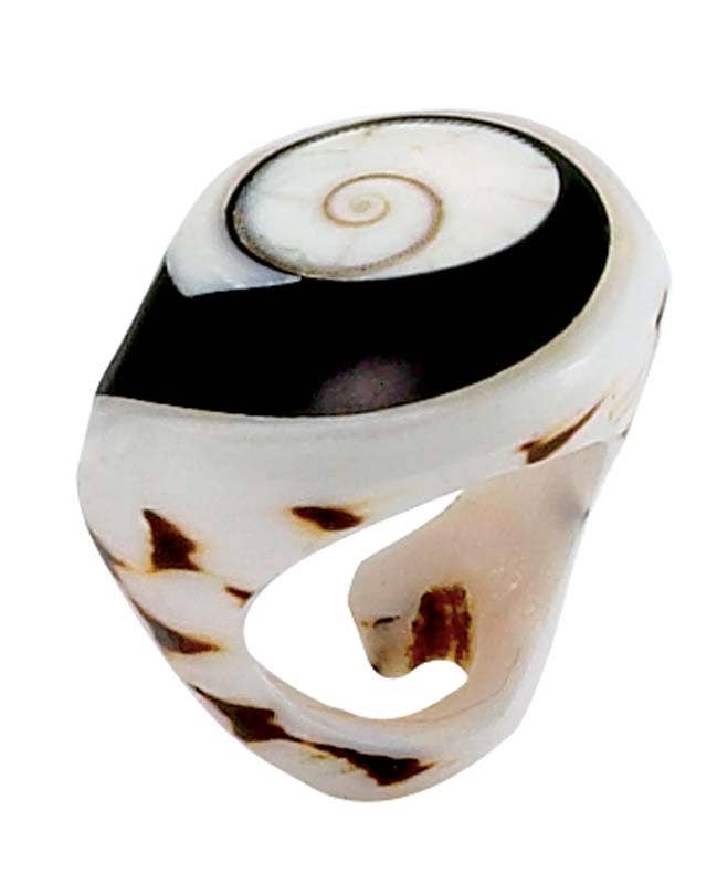 Seashell Rings