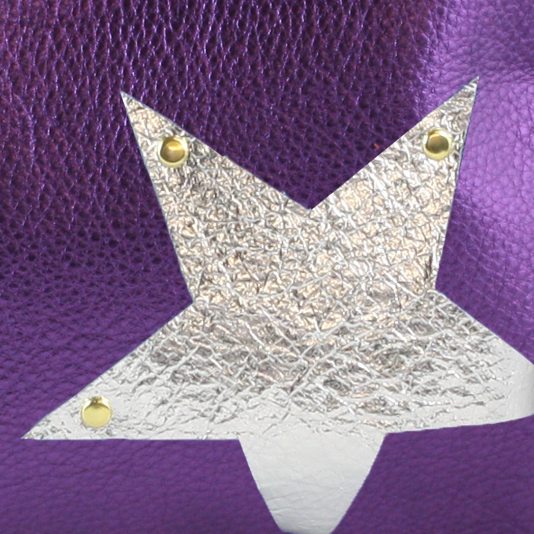 Vail Hipbag w/Star: Pewter
