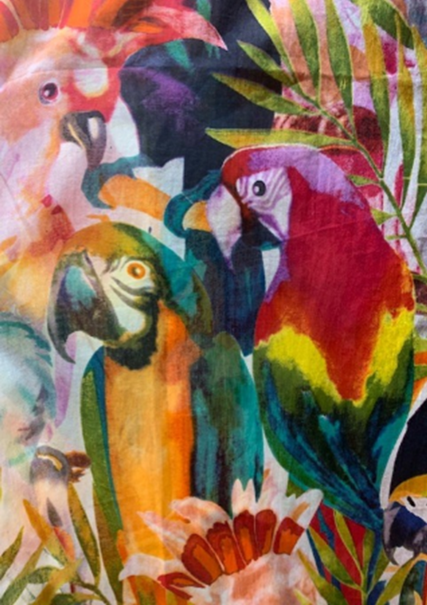 Parrots KikiSol Boyfriend Shirt: S
