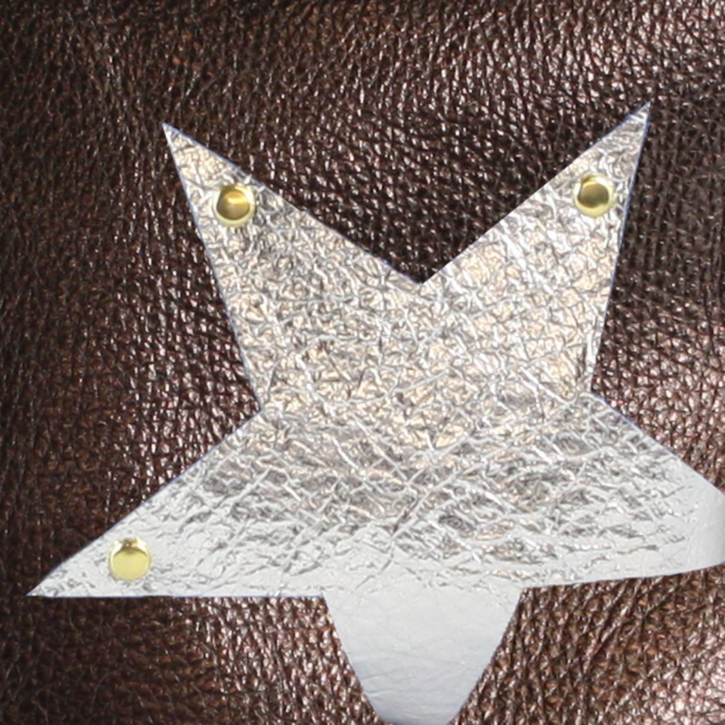Vail Hipbag w/Star: Pewter