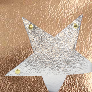 Vail Hipbag w/Star: Platinum