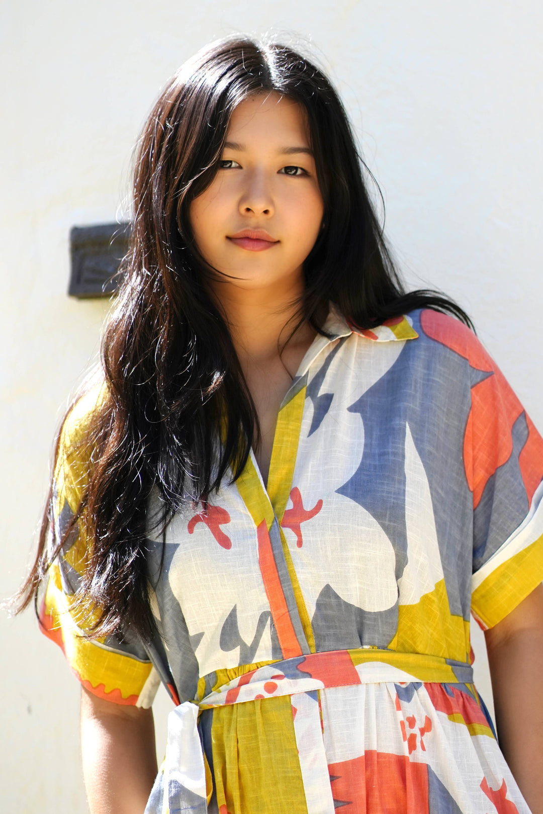 Abstract Print Dress Multi: Large